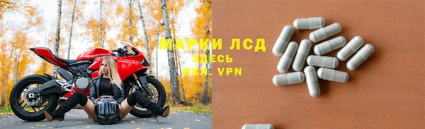 прущие грибы Гусев