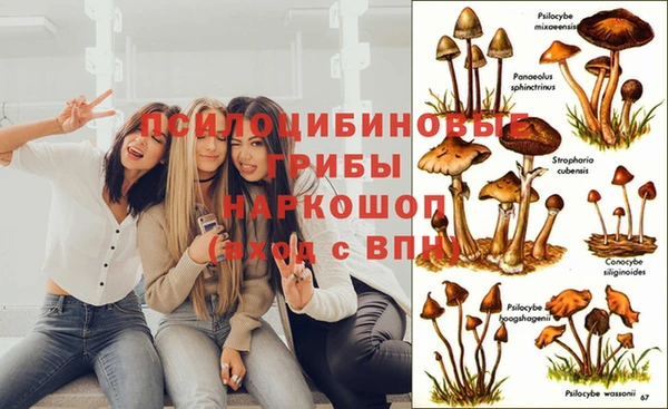 кокаин перу Дмитриев