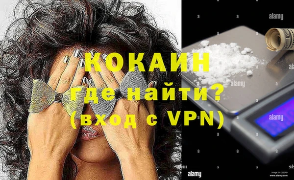 ПСИЛОЦИБИНОВЫЕ ГРИБЫ Дмитров