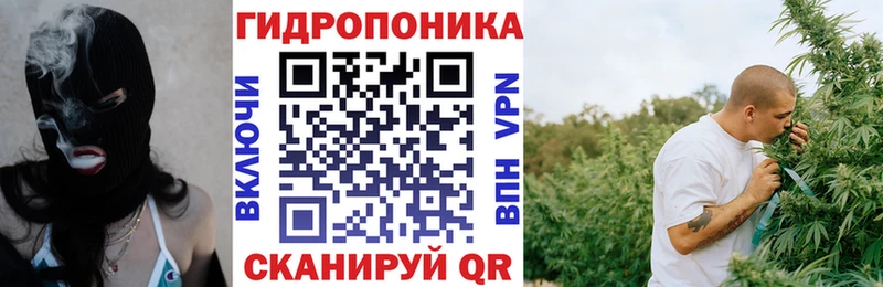 как найти наркотики  мега ССЫЛКА  Конопля White Widow  Лаишево 